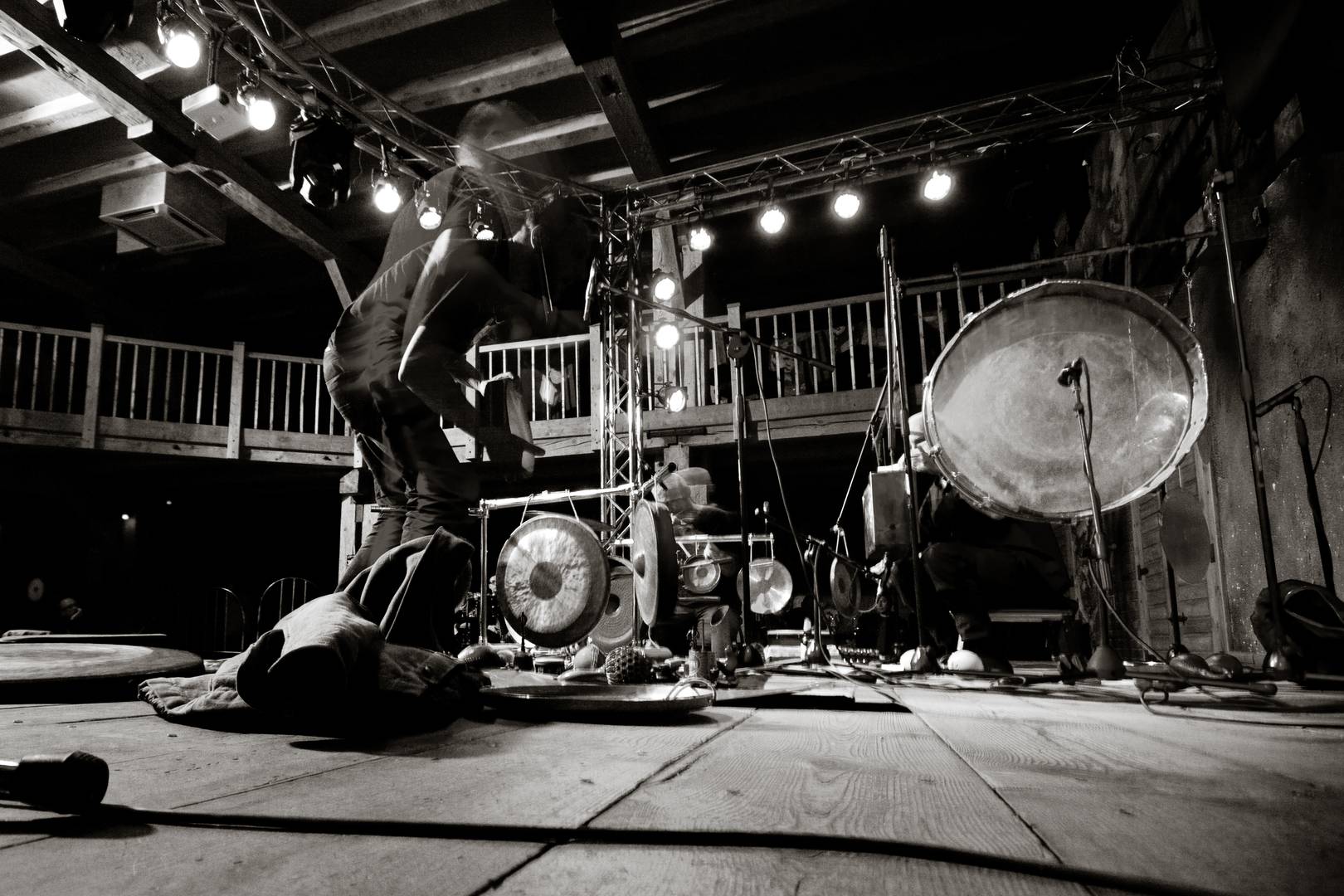 HATI: Zev koncert/IMG_1240bw