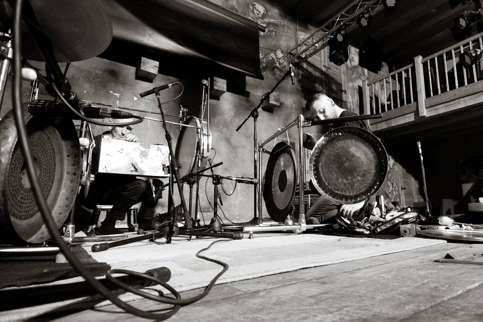 HATI: Zev koncert/IMG_1257bw