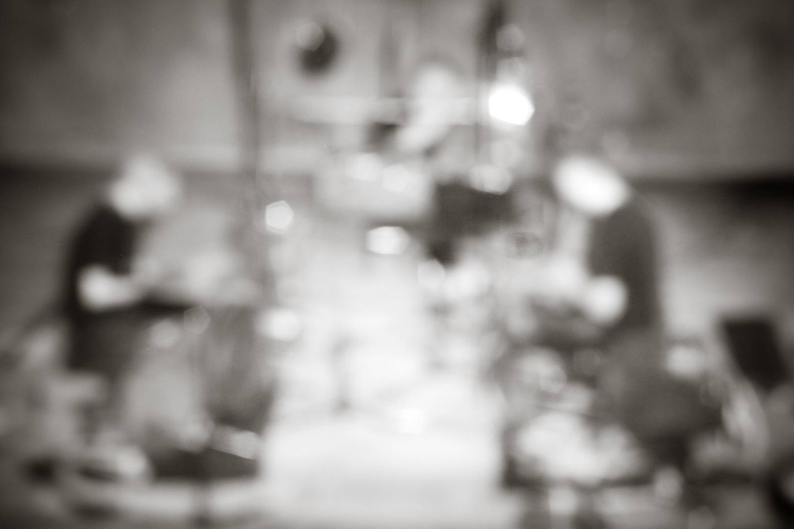 HATI: Zev koncert/IMG_1288bw