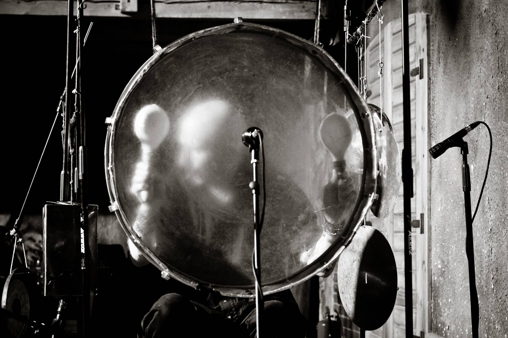 HATI: Zev koncert/IMG_1352bw