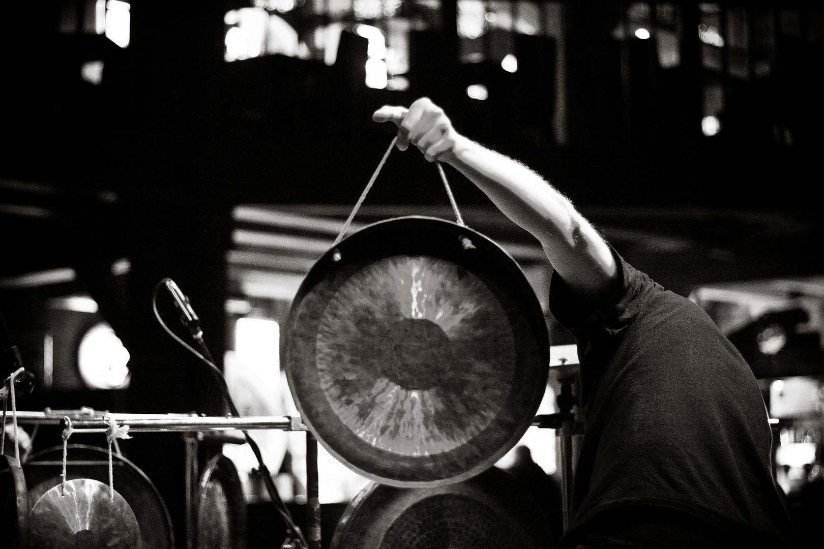 HATI: Zev koncert/IMG_1372bw