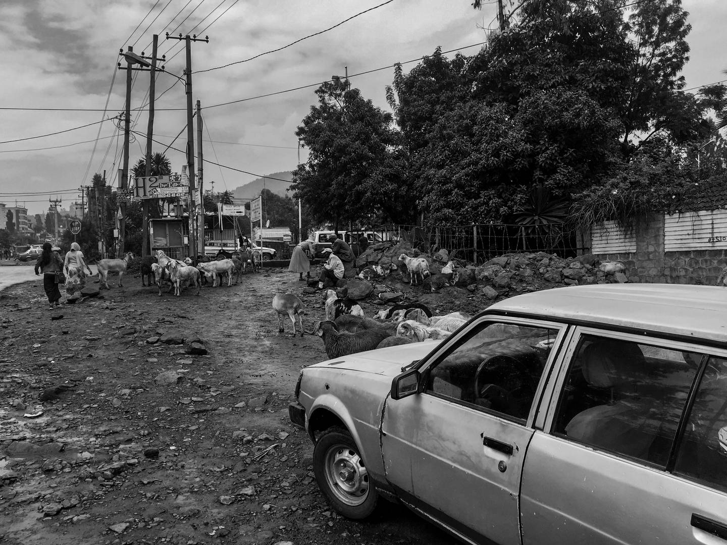 Etiopia zdjęcia właściwe/IMG_1033