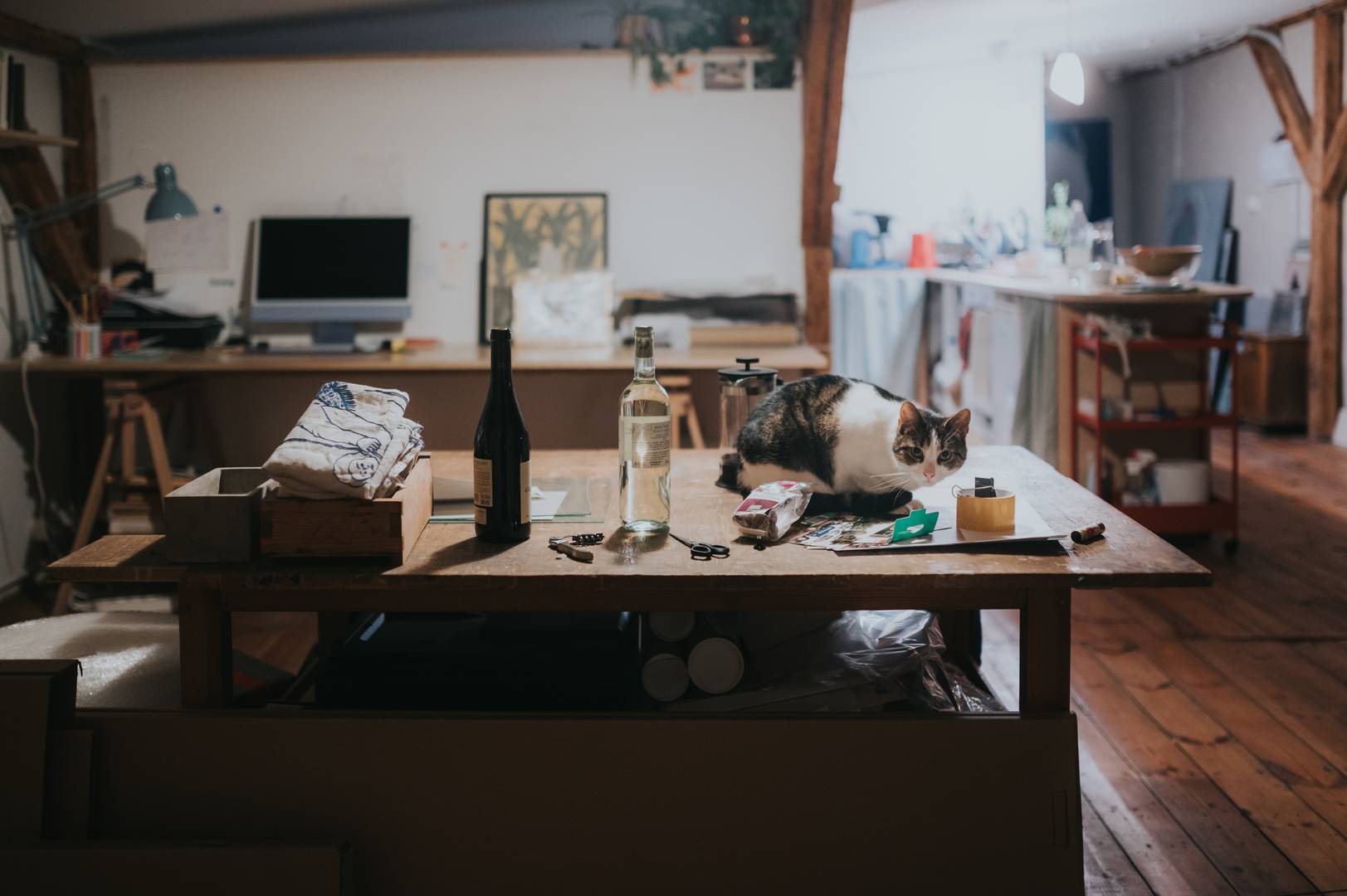 Maktoub_23/23.02.2023_MAKTOUB_fot.Grzegorz_Bukalski14