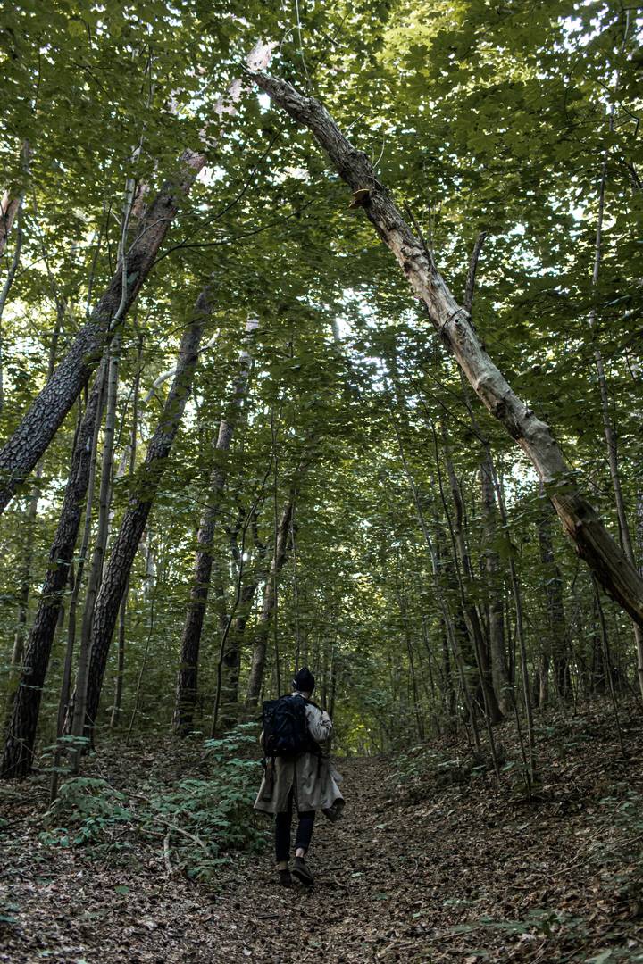 Podobno gdzieś tam walczą foto/024_fot.Marta Zajac-Krysiak full