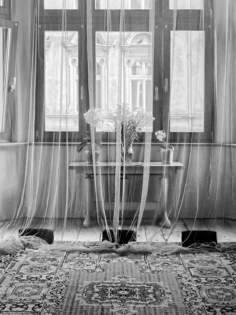 foto/DSCF2651_DxO_B&W_II