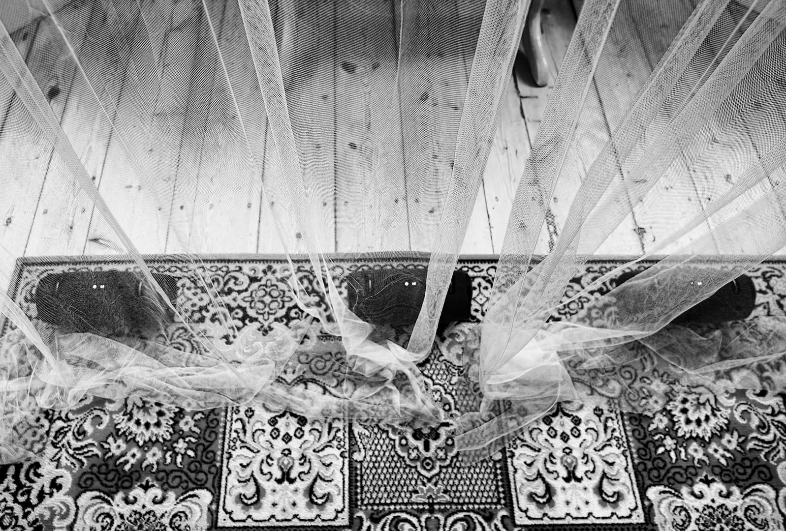 foto/DSCF2677_DxO_B&W