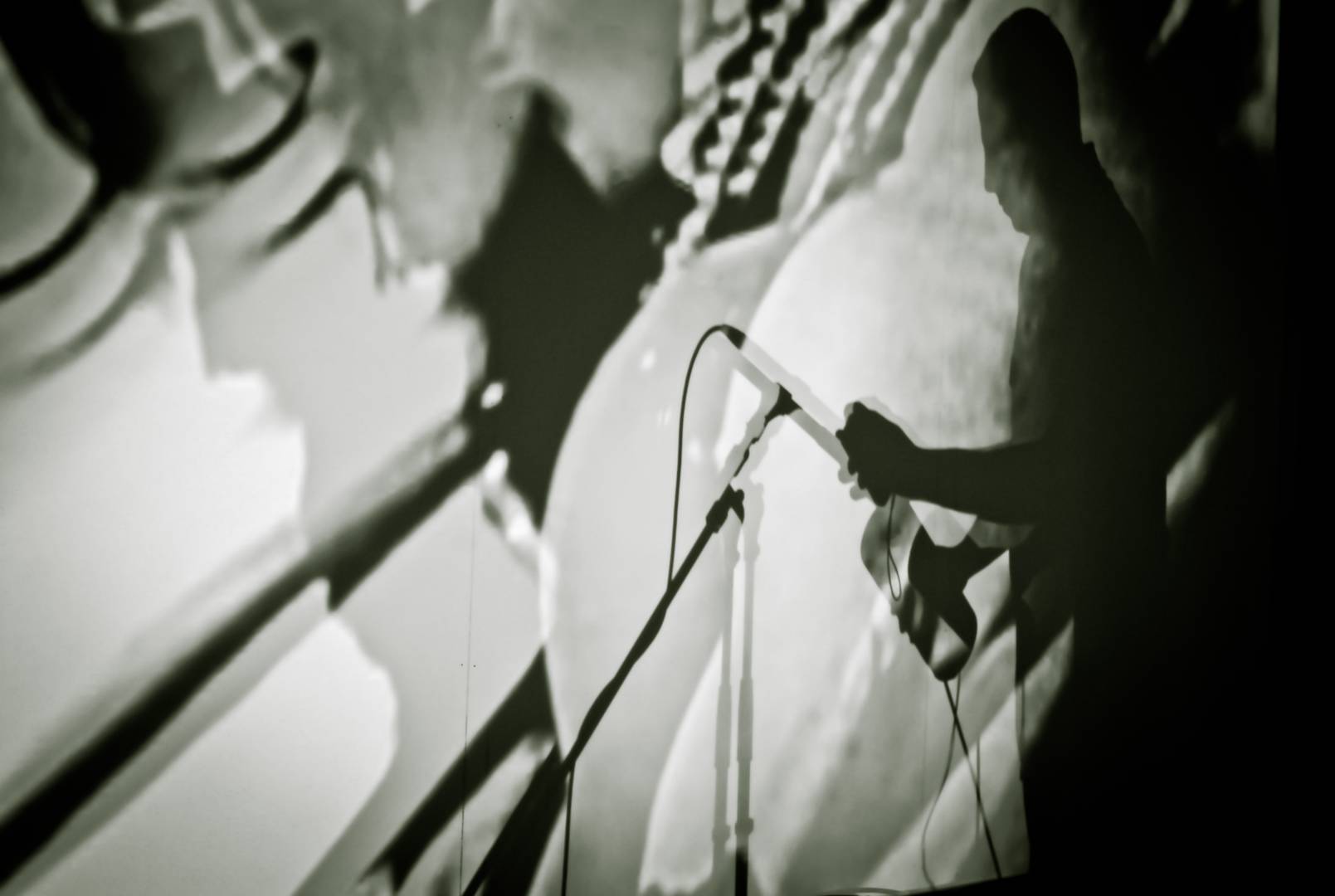 cocart dzien drugi/DSC_0227