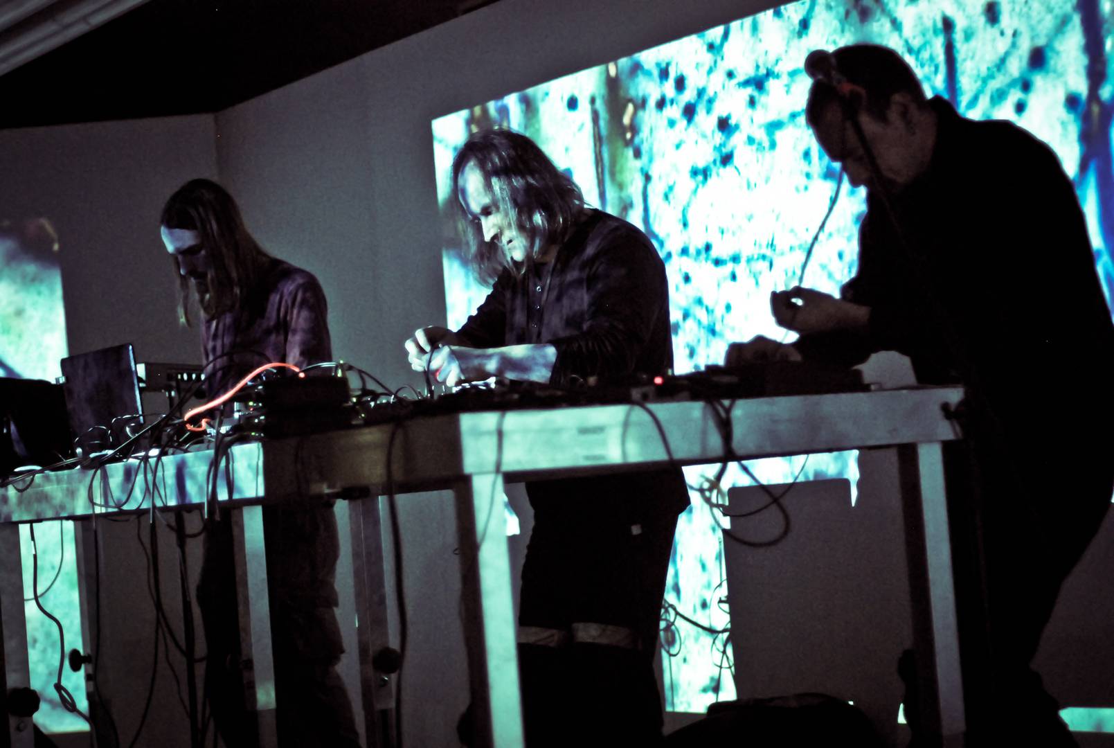 cocart pierwszy dzien/DSC_0541