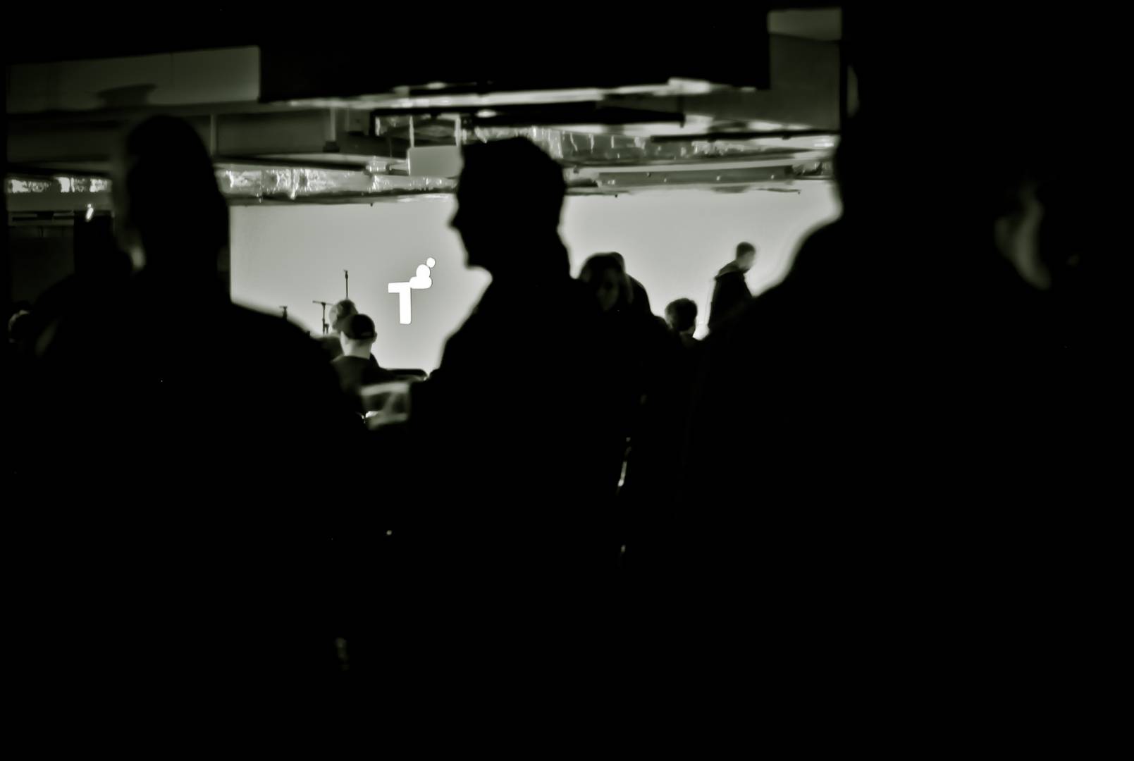 cocart pierwszy dzien/DSC_0716